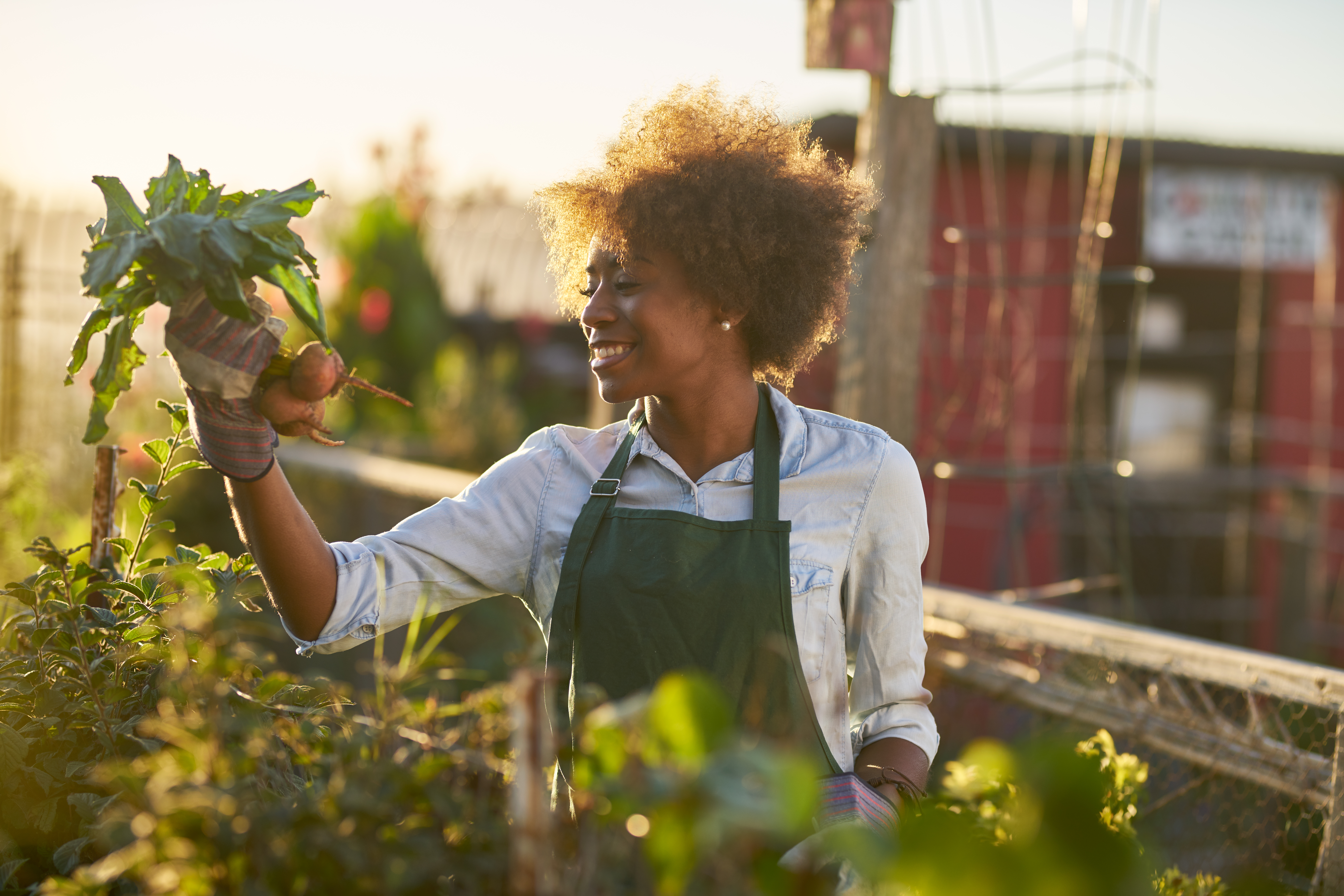 Urban farming vision